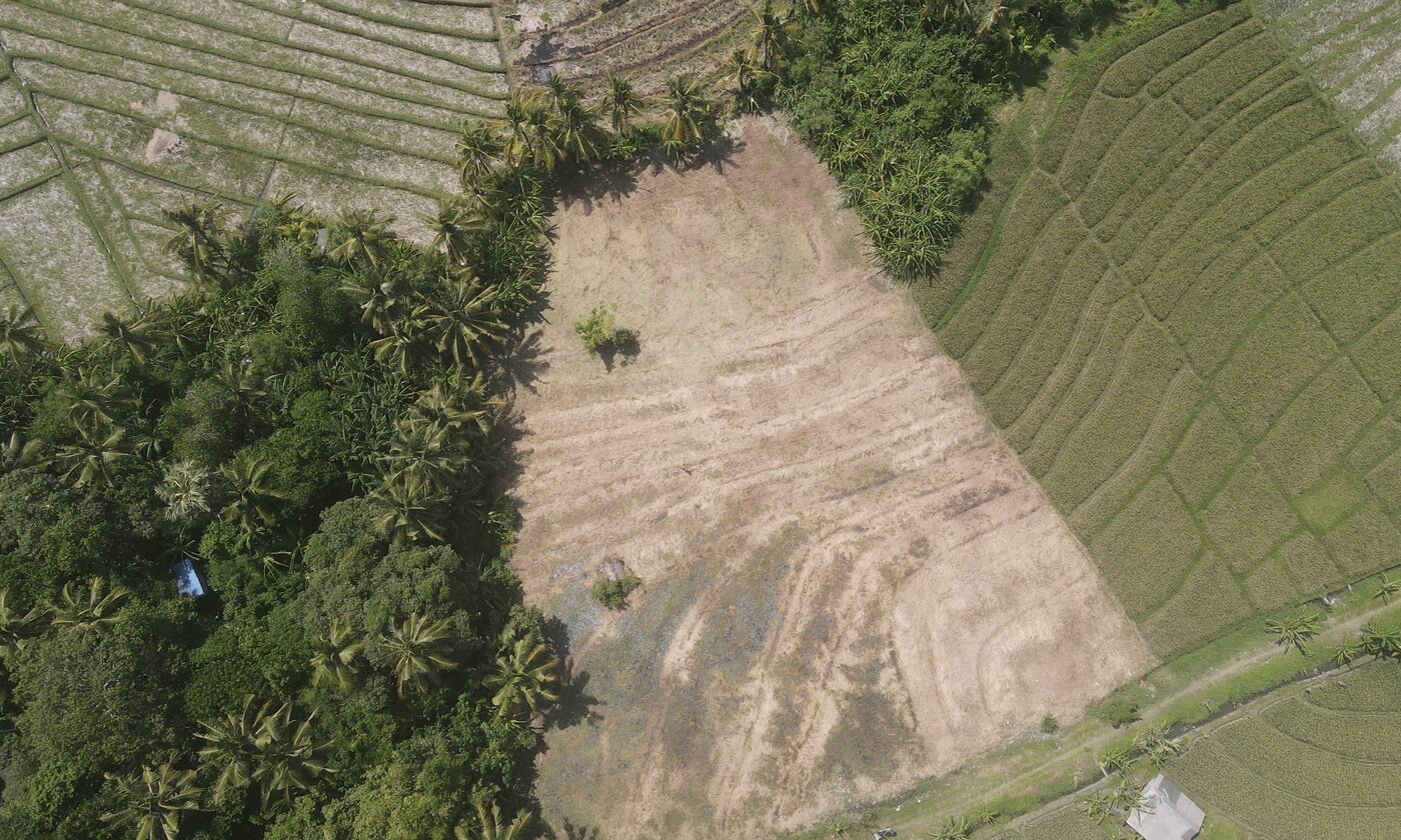Drone overhead of the 37.6 are parcel surrounded by rice paddies and palms